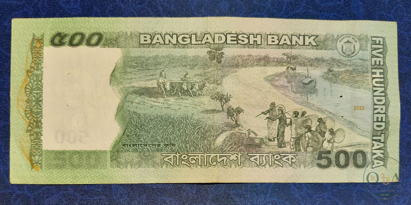Back Side