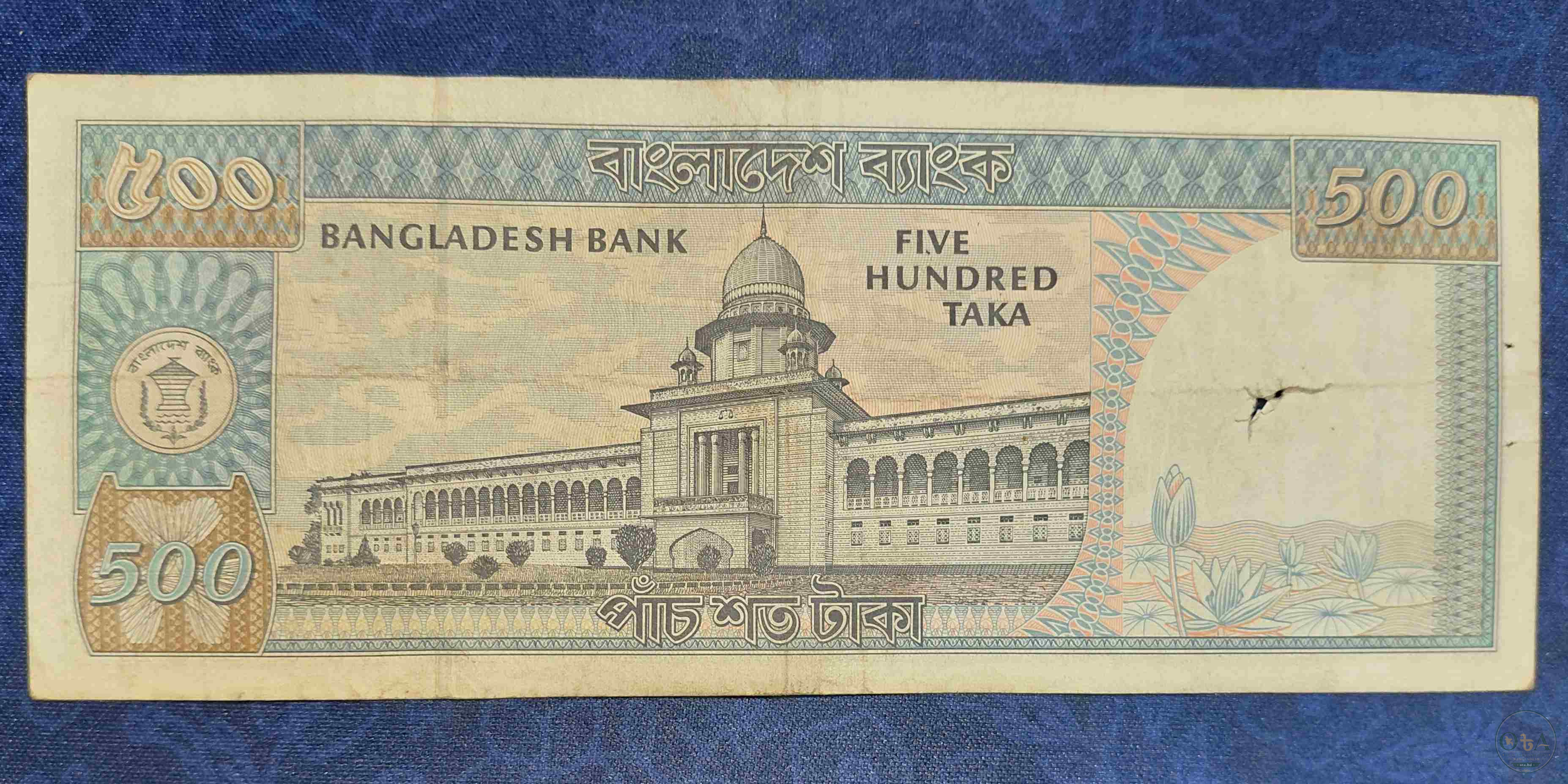 Back Side