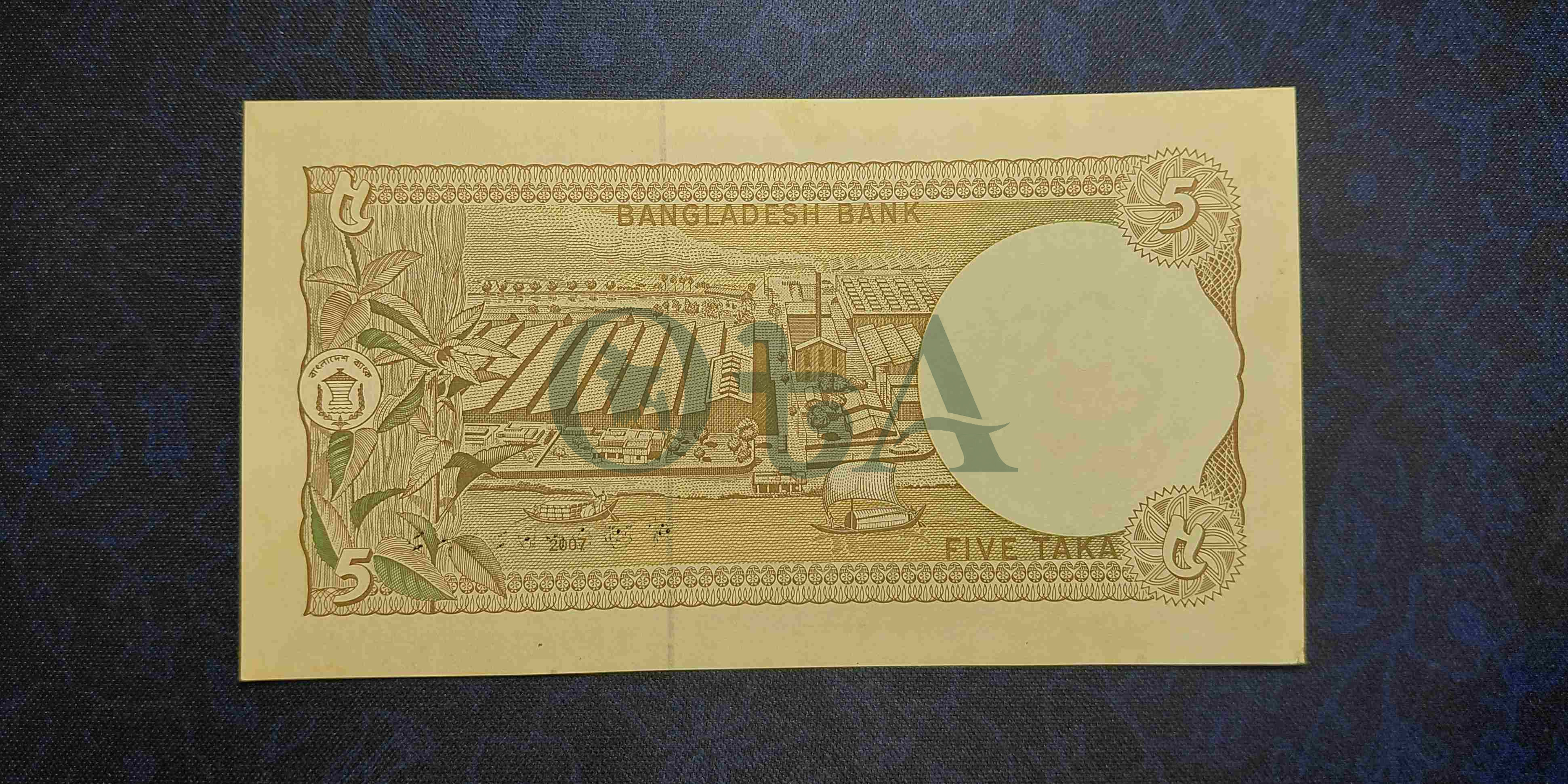 Back Side