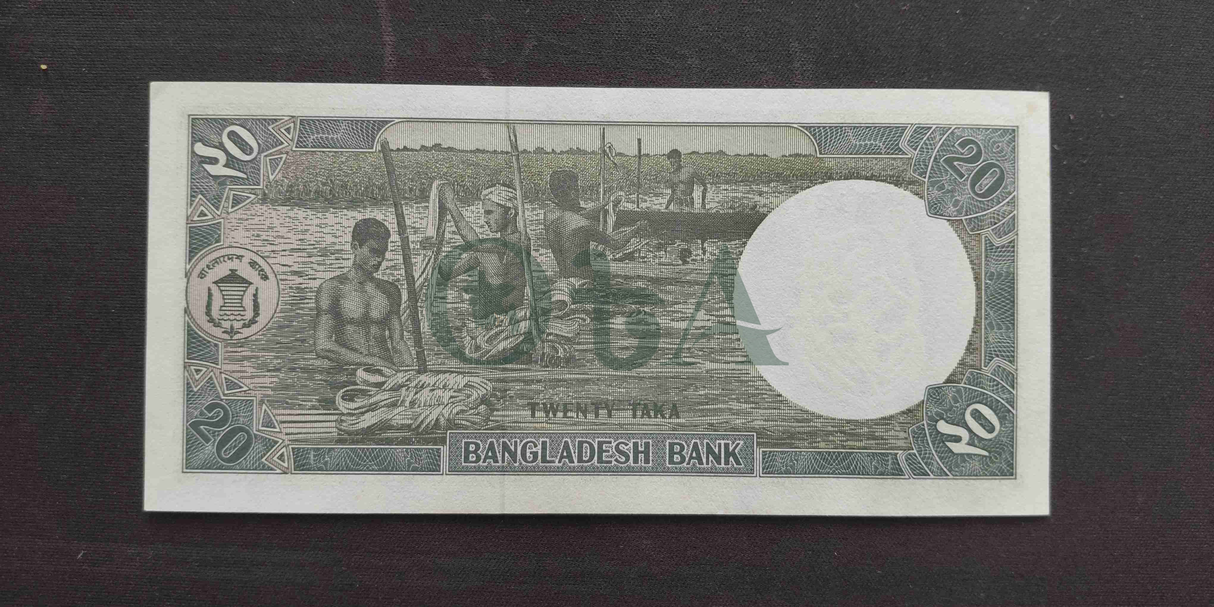 Back Side