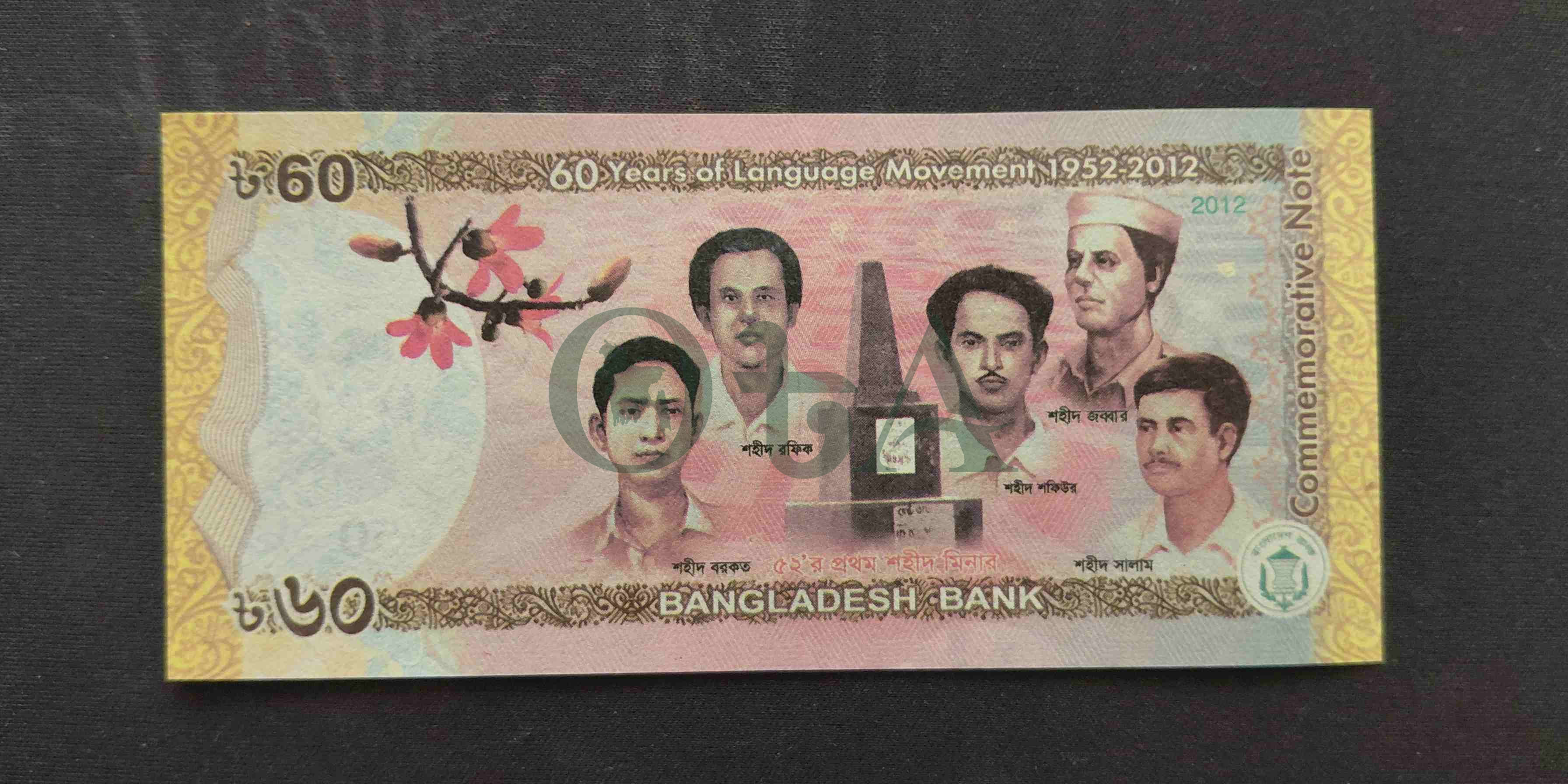 Back Side