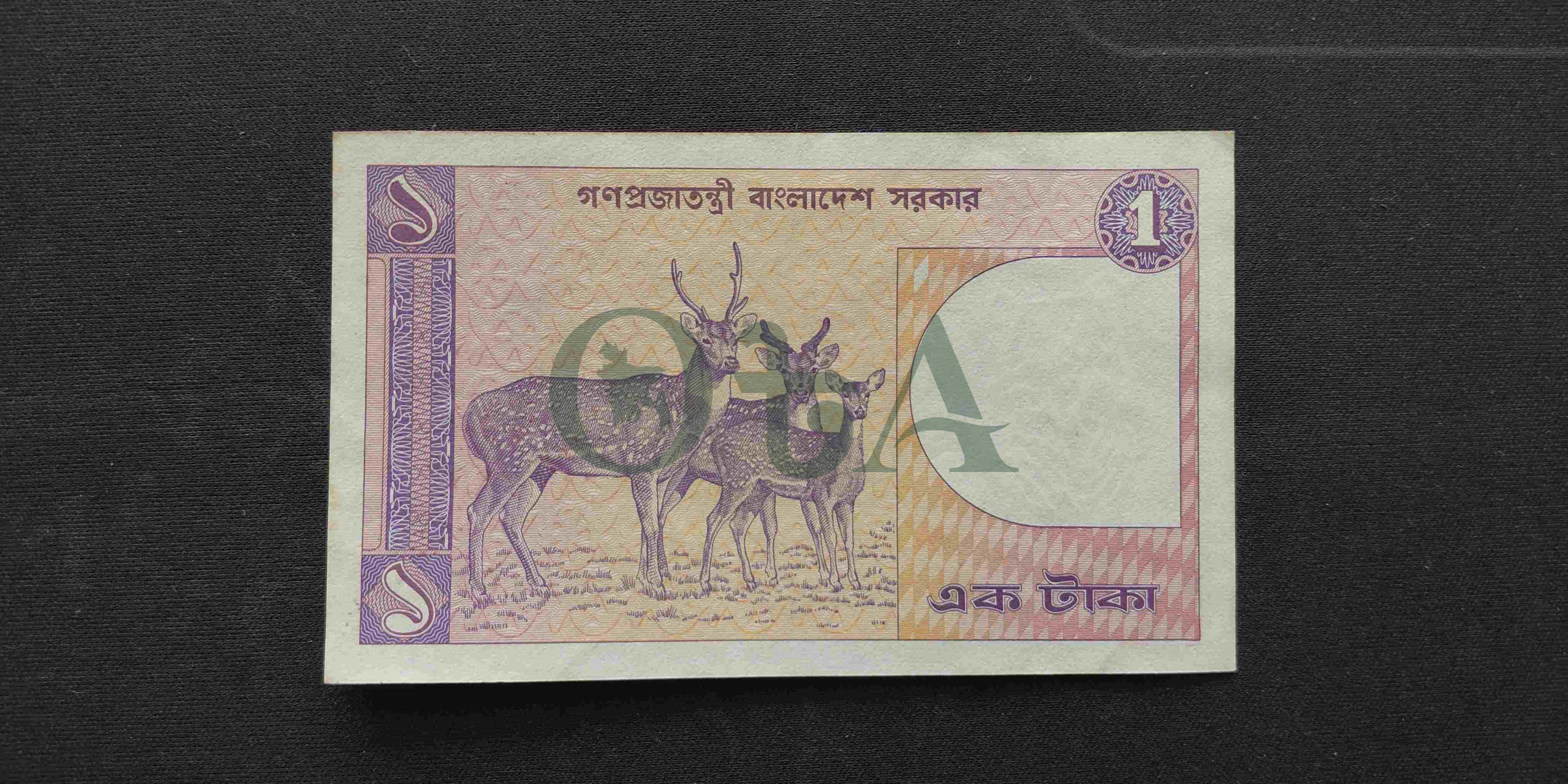Back Side